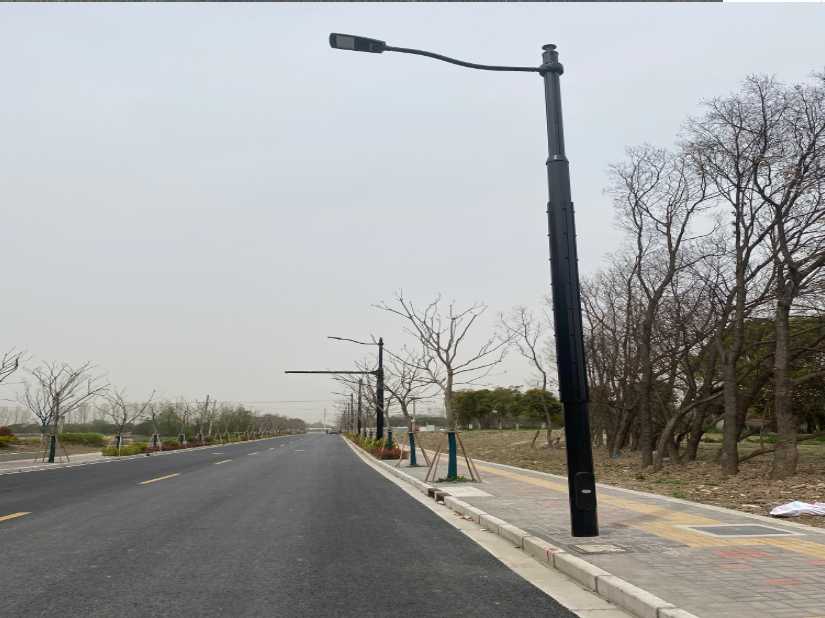 任泽区上海综合杆 太阳能路灯工程